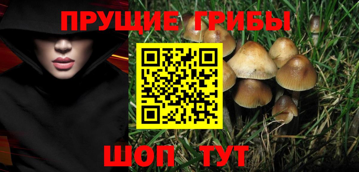 Галлюциногенные грибы мухоморы Канск