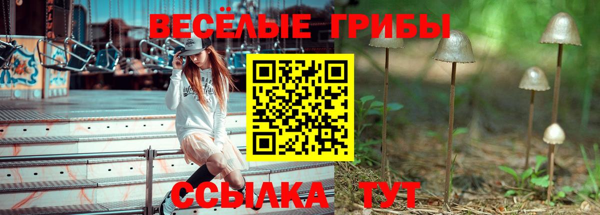 Галлюциногенные грибы Cubensis  Галлюциногенные грибы мицелий  Канск  Вход с VPN 